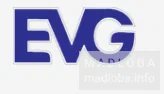 Логотип компьютерного магазина ЕВГ