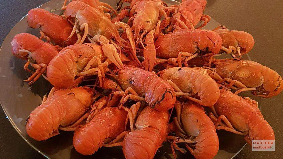 Грузинские раки в баре Crayfish Hermanos