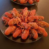 Los Crayfish Hermanos