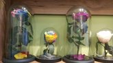 Flores