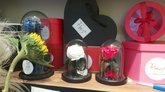 Flores