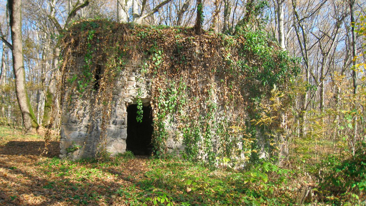 Каменная пещера в лесах Грузии