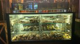 MAXIMUS TAPROOM