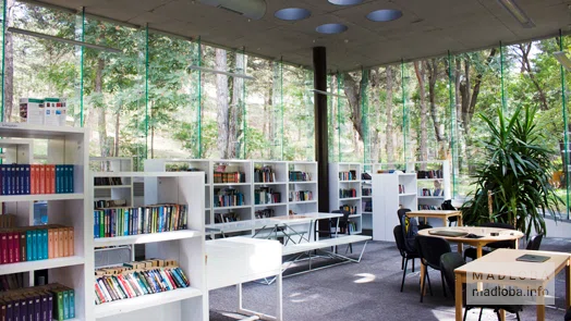 Media library in Vake Park