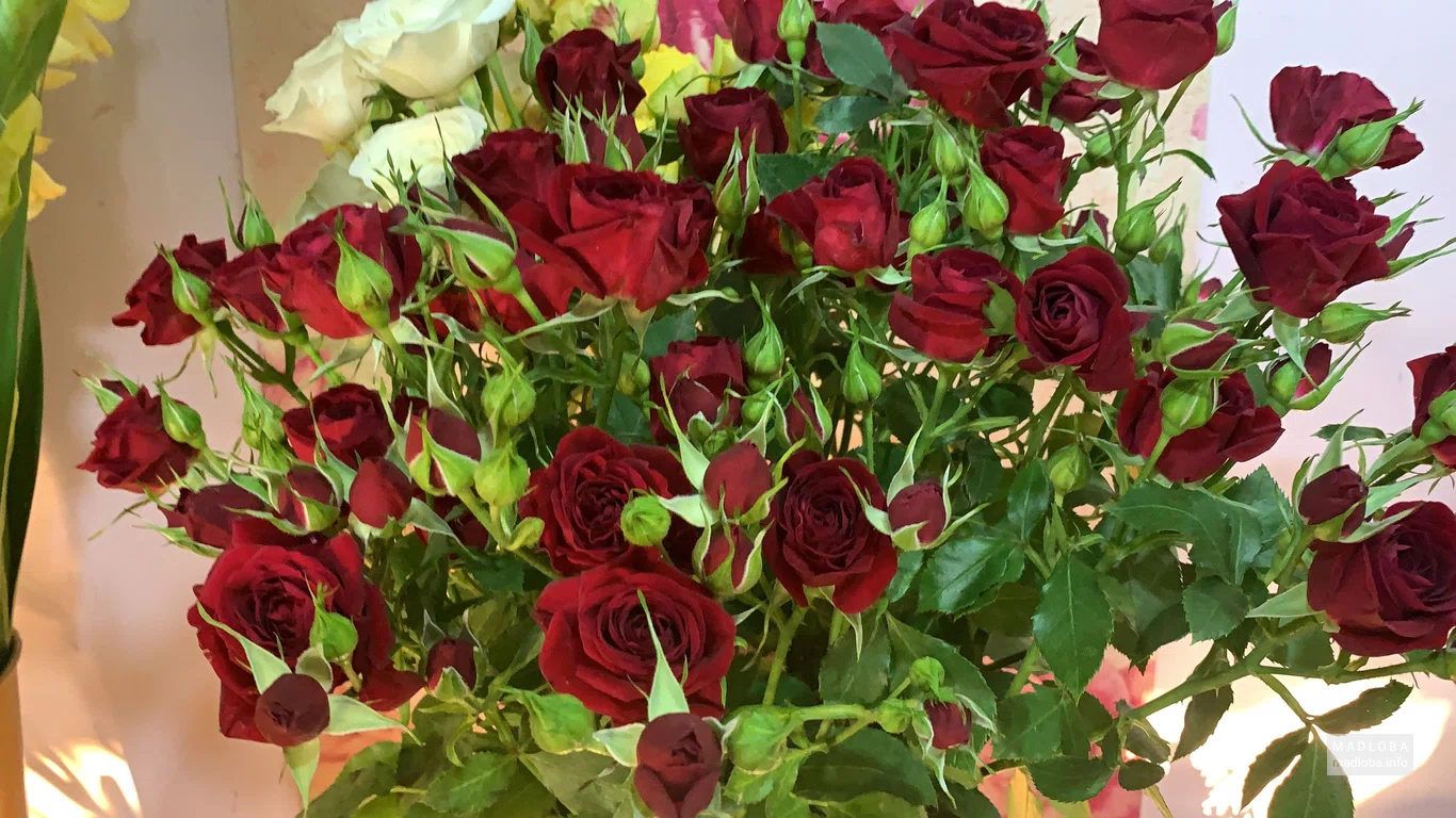 Красные розы в цветочном магазине Милан