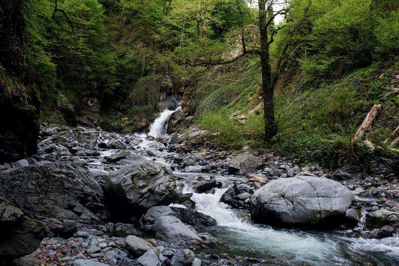 A mountain river in Lagodekhi National Park