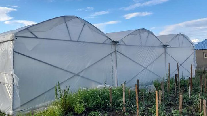 Greenhouse production