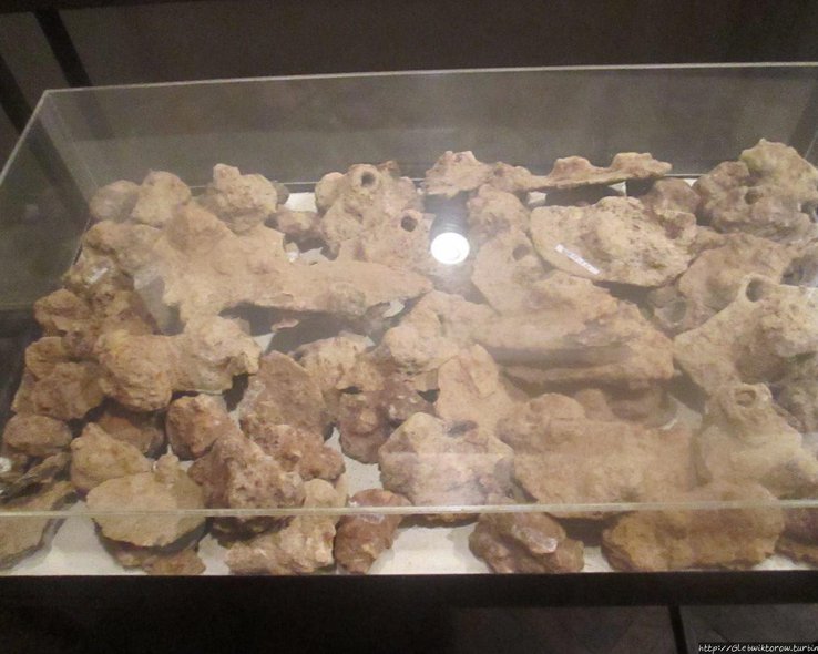 Археологические экспонаты в музее колхидской культуры