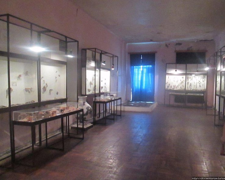 Выставочный зал в музее колхидской культуры Грузии