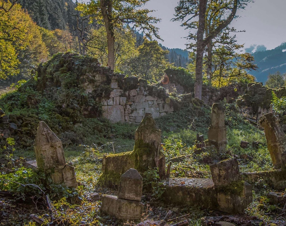 nedzvis-monaster