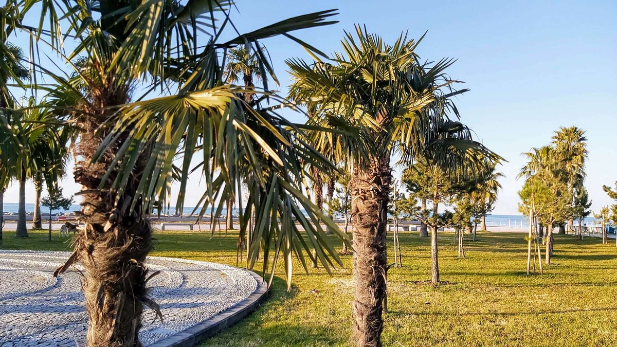 new-boulevard-batumi-02