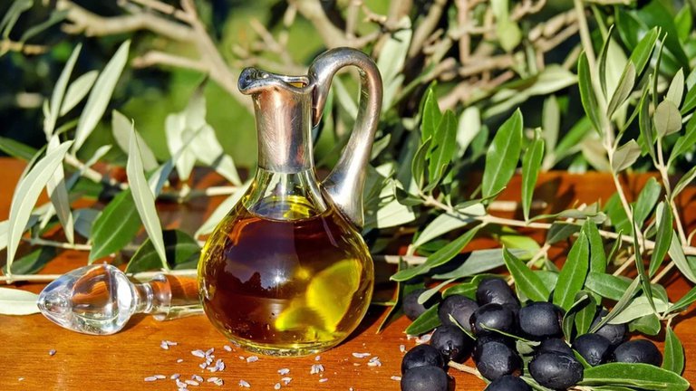 Georgia will implement the idea of import substitution: growing olive trees on the ground