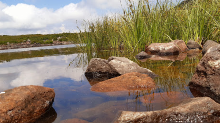 Lake Kotatba