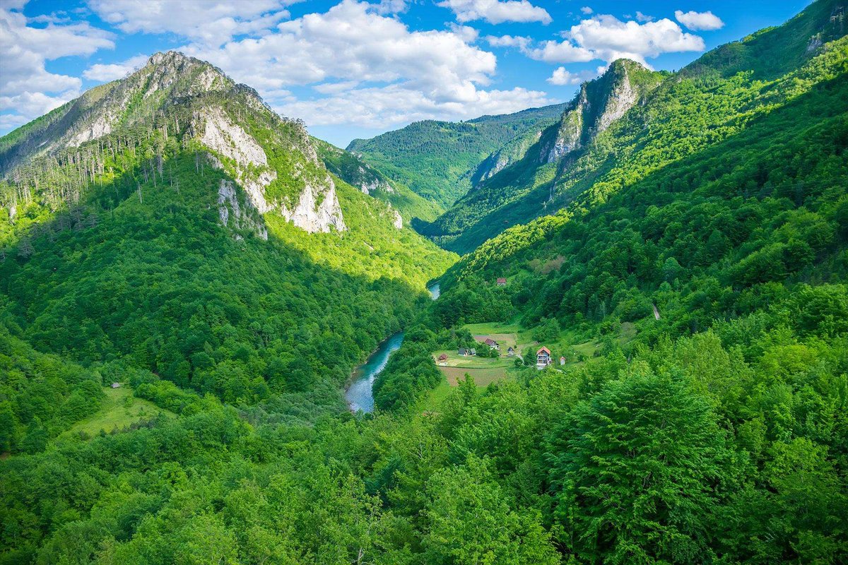 panoramic-view-green-grassy-valley-pine-01