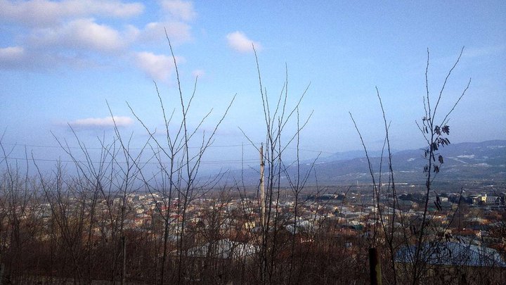 ტყე-პარკი "ზემო სერია"