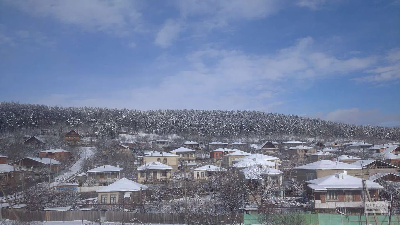 Сосновый парк за городом "Земо Сери"