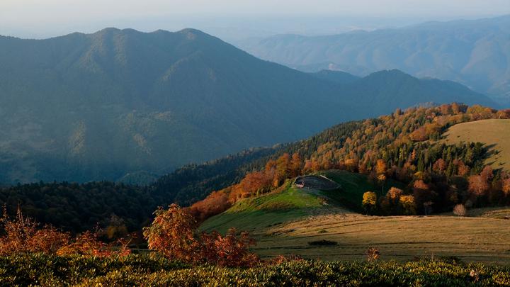 The Shepherds' Trail