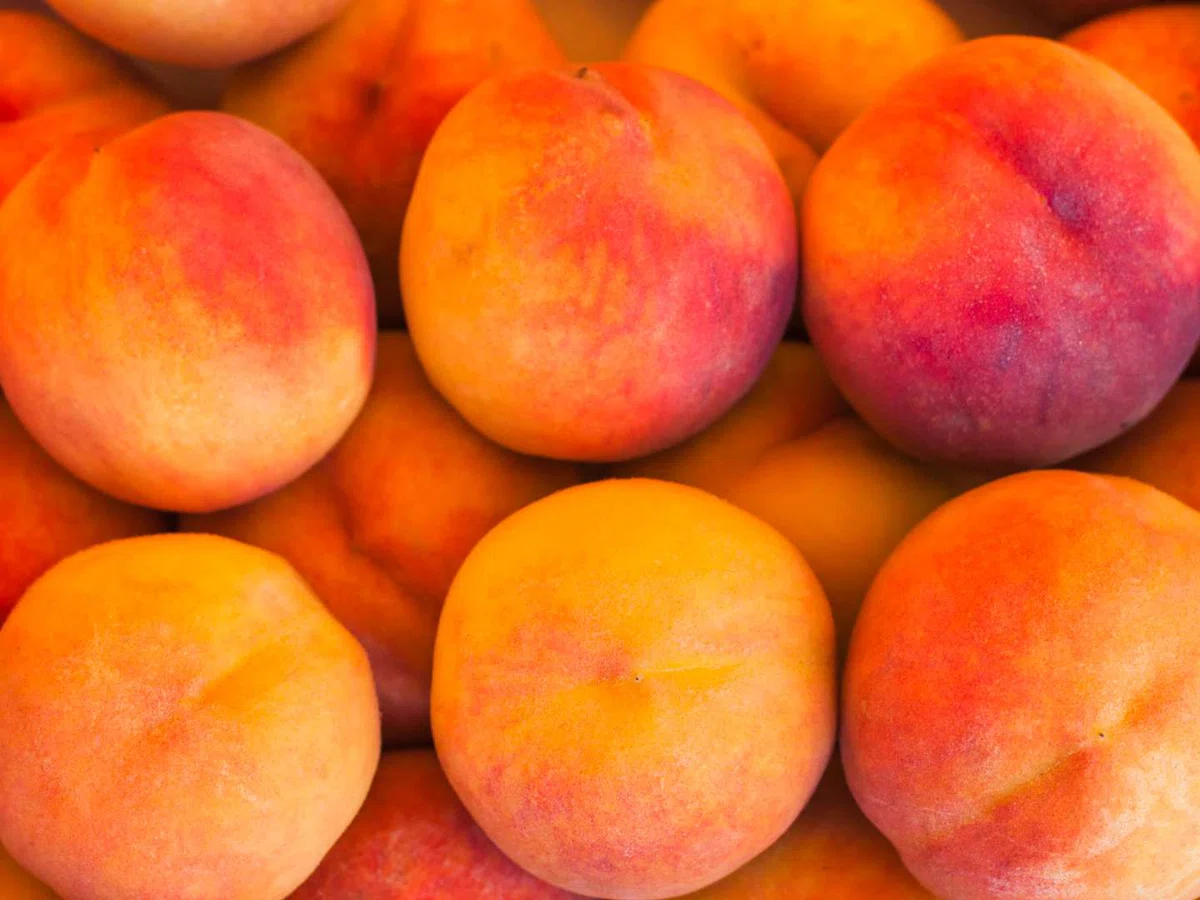 персики.jpg
