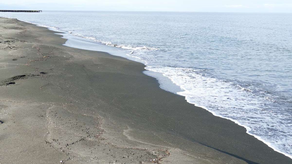 🏖️ Пляж + водные развлечения