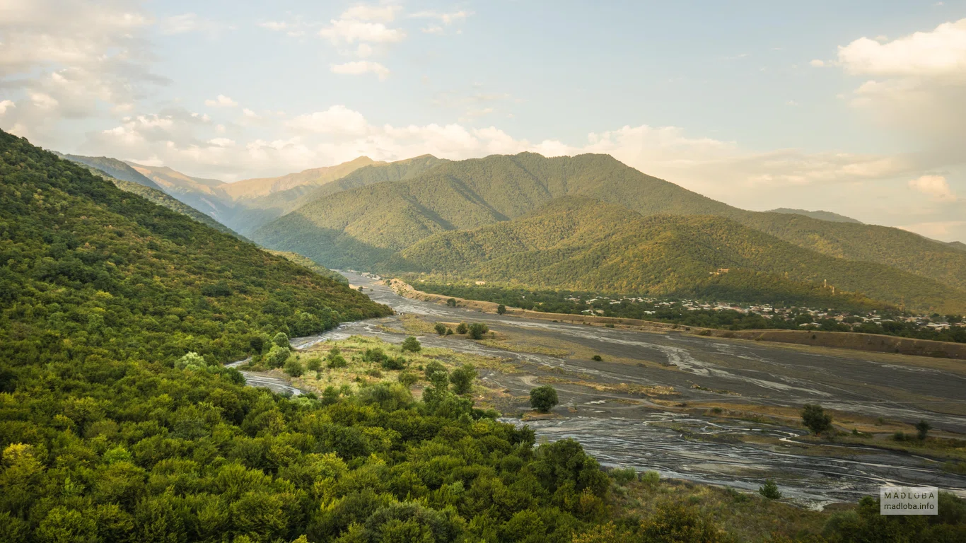Алазанский пойменный лес — природный памятник с лианами и дубами в Дедоплисцкаро