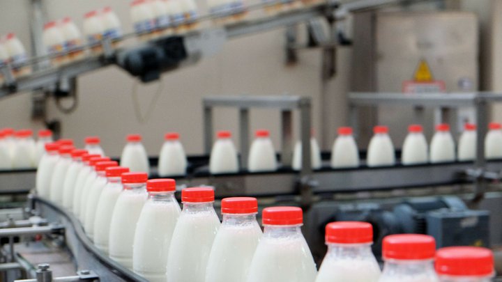 Молоко и молочные продукты от производителя Chveni Permeri