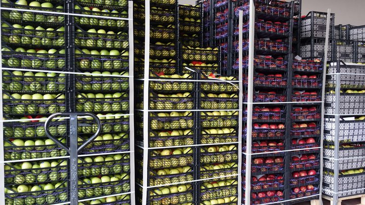 Овощи, фрукты и зелень от поставщика Agro Logistics