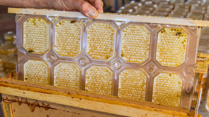 Продукция пчеловодства от производителя Gia Katamadze