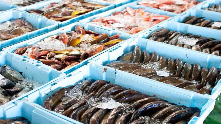 Поставщик рыбы и морепродуктов Fuku Group