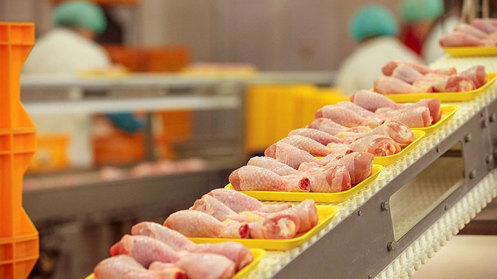 Охлажденное мясо птицы от производителя Dila Products