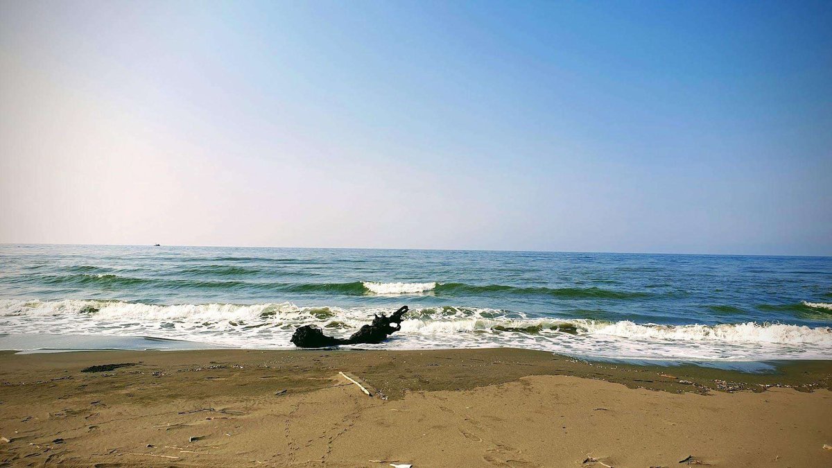 poti-beach-02.original