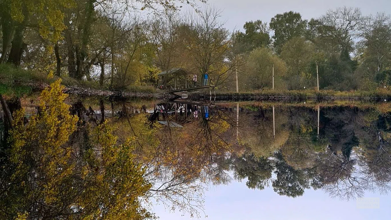 пруд в парке Гардабани