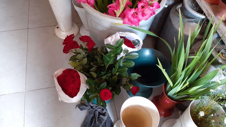 Flowers, pollen, propolis, honey