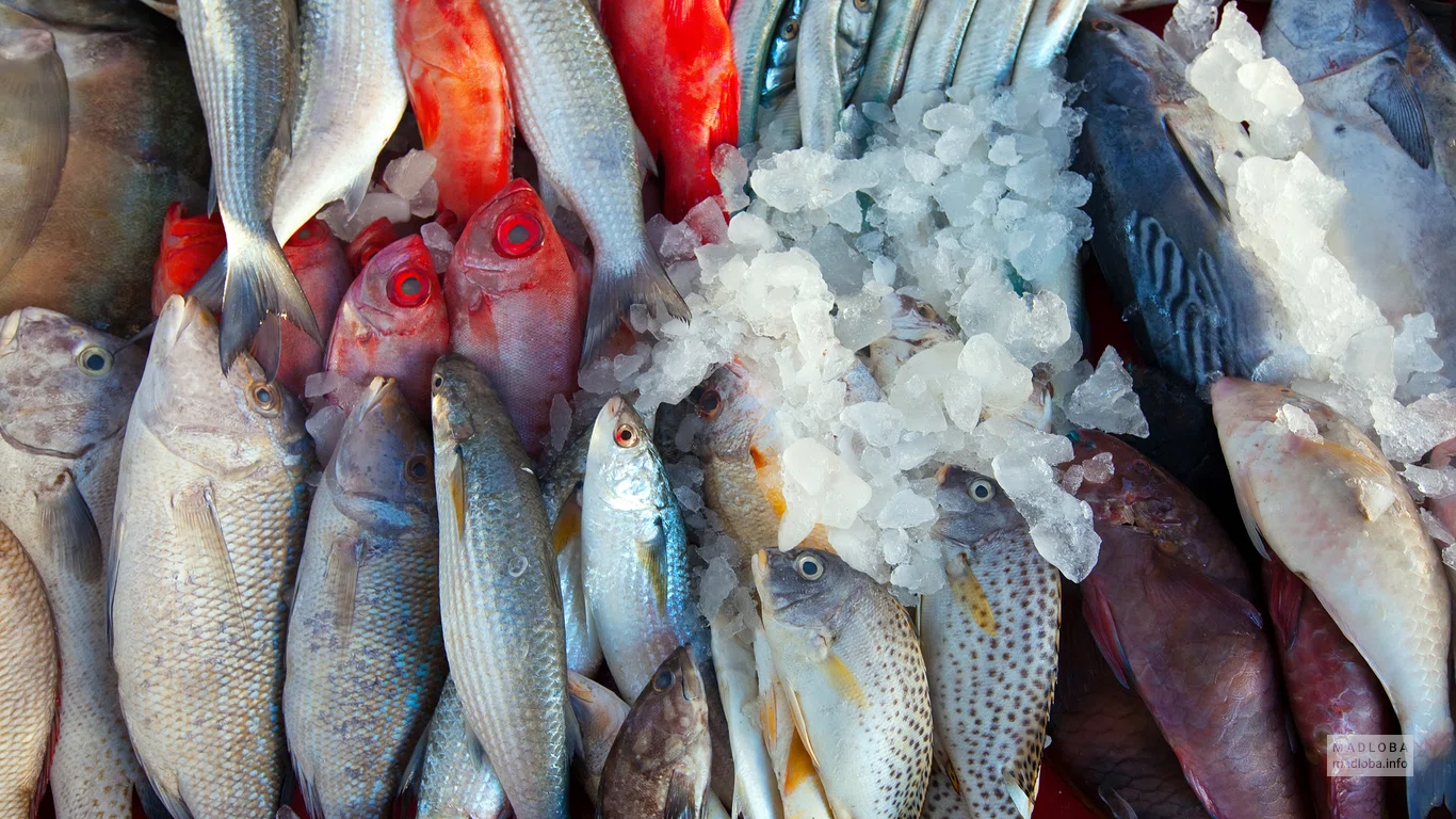 Рыба в Kondoli Fishfarm в Тбилиси