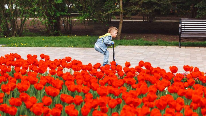 Парк Свободы