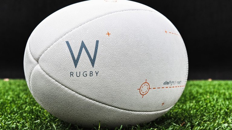 Georgia national rugby team in search of new challenges: possible test match with South Africa in July 2024