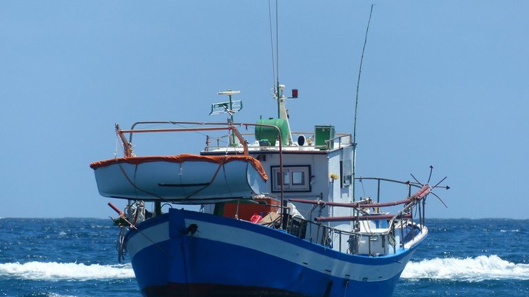 Georgia will develop fisheries