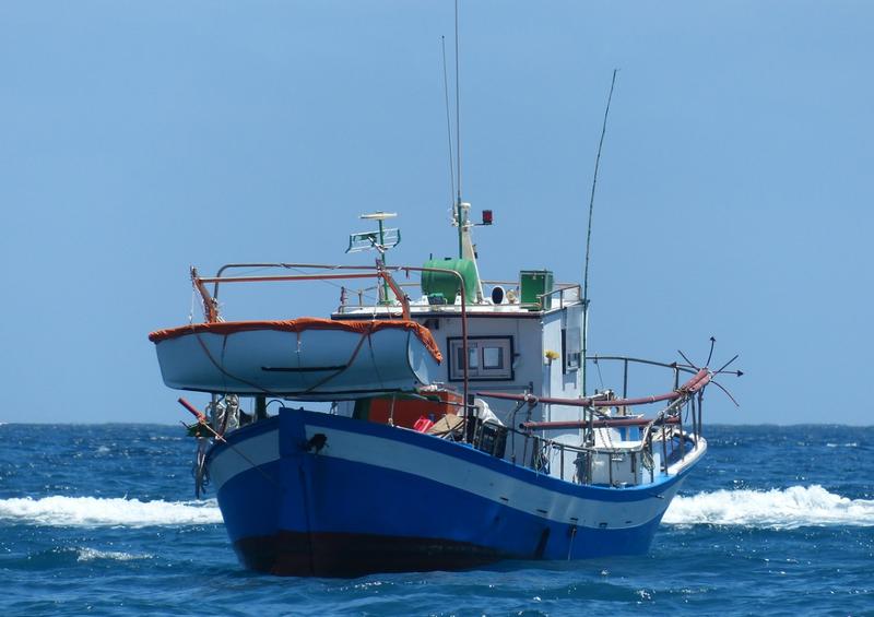 Морское судно для ловли рыбы в Грузии