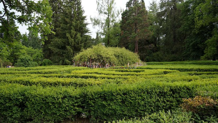 Garden-labyrinth (Tsinandali Estate)