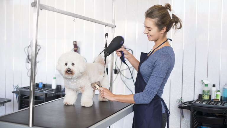 Grooming Salon BarberPet