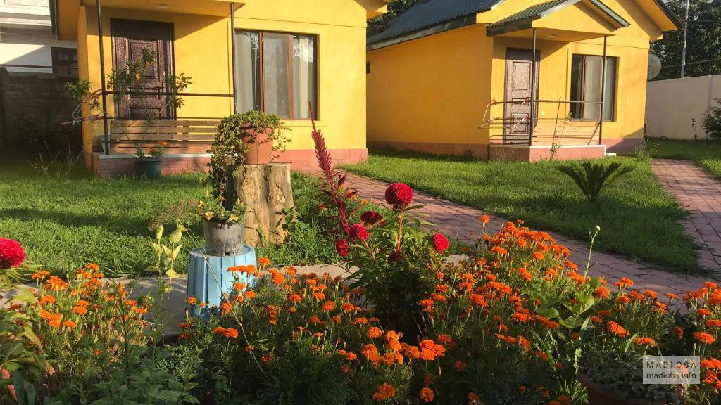 Flowers on the territory of the Senima Paradise Hotel