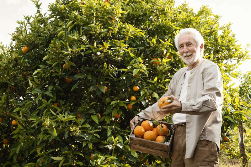 senior-man-cultivating-oranges.jpg