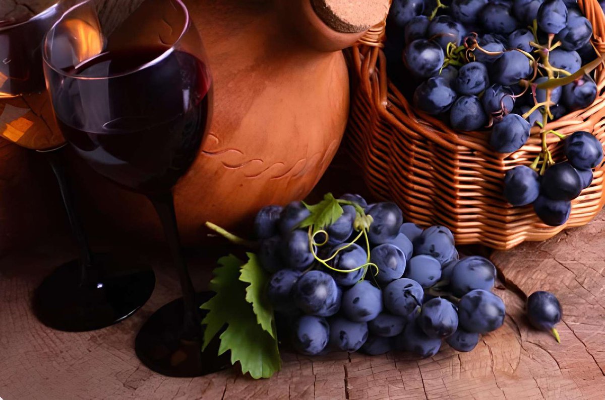 синий виноград на фоне кувшина и бокала красного вина.jpg