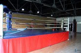 Arena-2