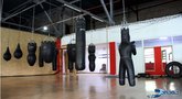 Arena-2