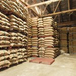 Введение пошлины на сахар: Грузия регулирует импорт с 20 ноября