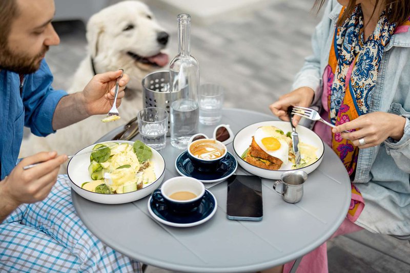 A man, a woman and a dog have breakfast in a cafe on the street