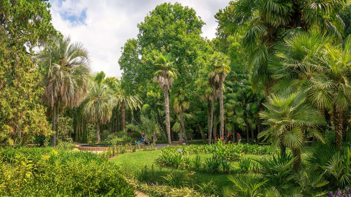 Сухумский Ботанический сад