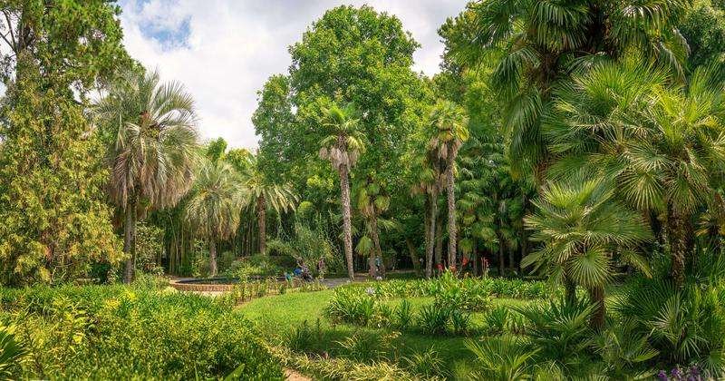 Sukhumi Botanical Garden