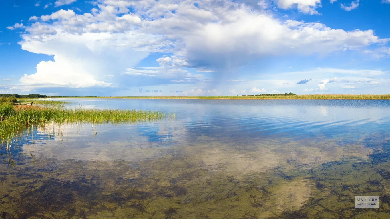 Airport Lake