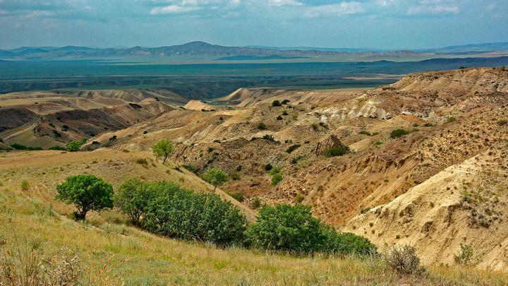 Каклис куре – Залив орешников